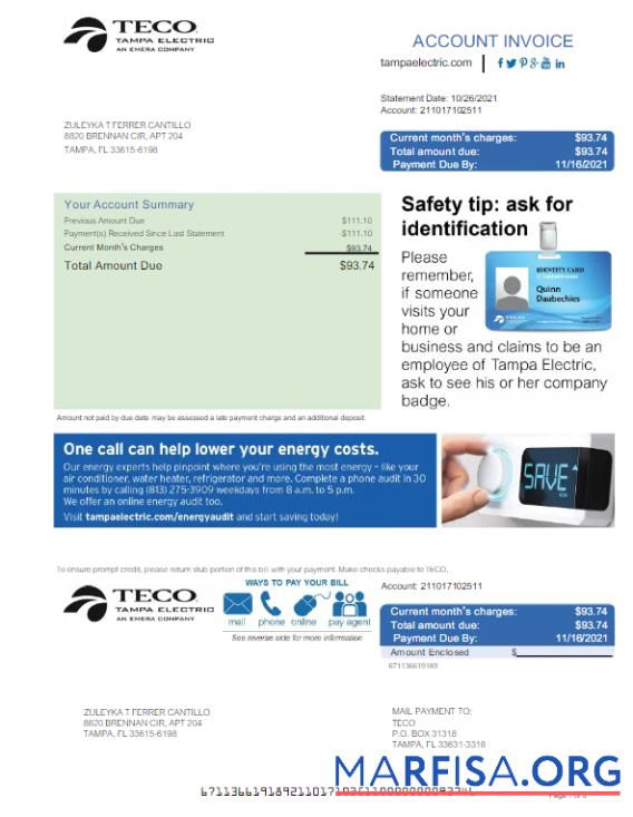 Realistic USA TECO utility bill Word and PDF template